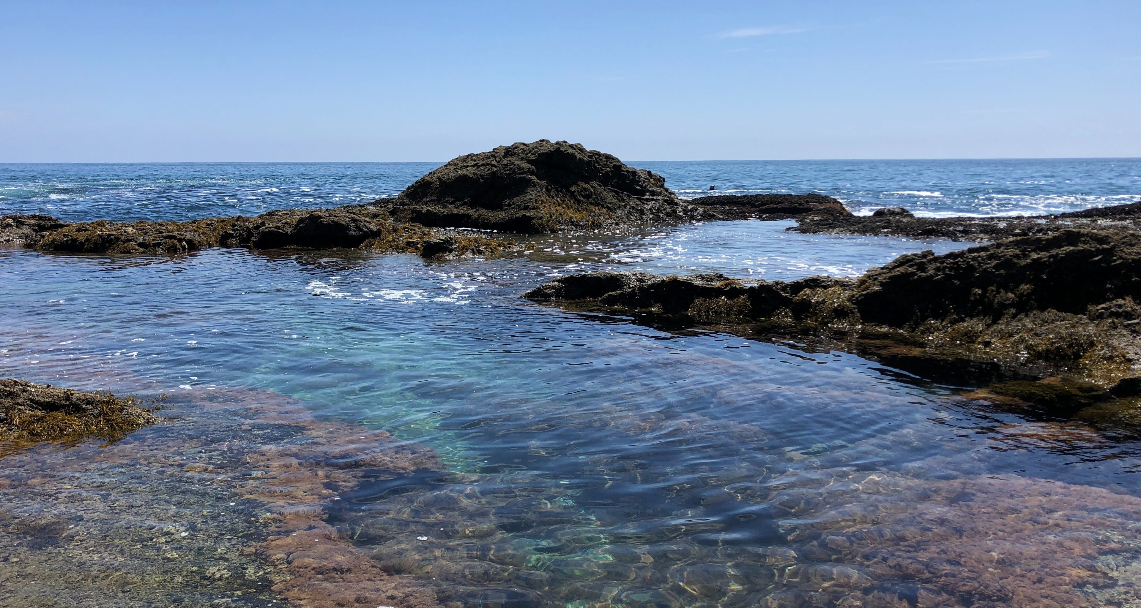 Ocean Institute Guided Tidepool Hikes SoCal Moments A Division of