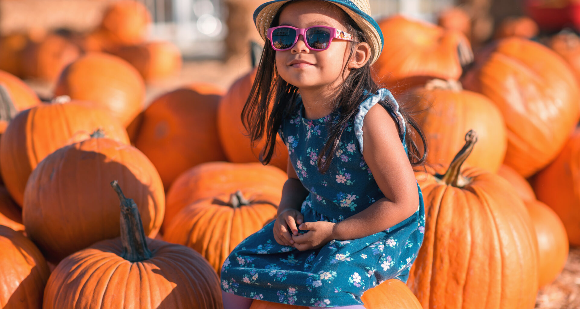 best pumpkin patches in Southern California